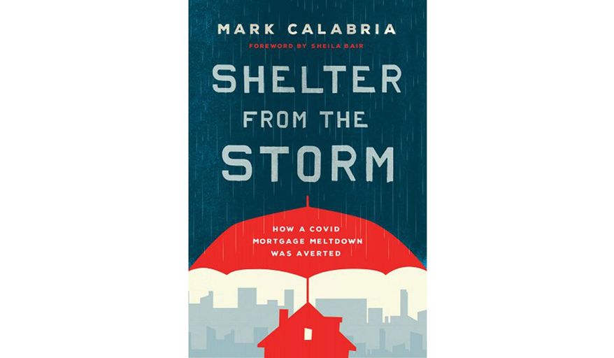 &#x27;Shelter From the Storm&#x27; by Mark Calabria (book cover)