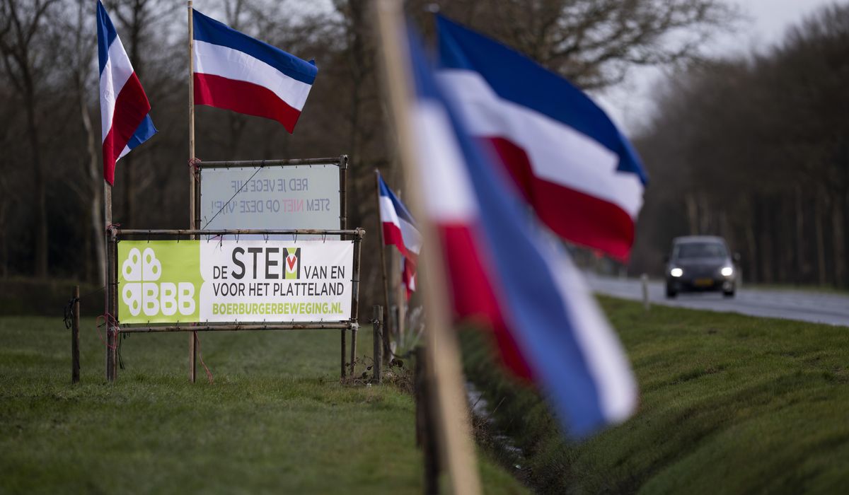 NextImg:Farmers, environmental activists hold demos in The Hague