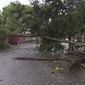 A tree lays across a street in Quelimane, Mozambique Sunday, March 12, 2023. Record-breaking Cyclone Freddy made its second landfall in Mozambique Saturday night, pounding the southern African nation with heavy rains and disrupting transport and telecommunications services. (AP Photo)