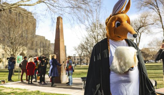 CORRECTS DATE A women&#x27;s march group member dons a kangaroo mask and judicial robe, Wednesday, March 15, 2023 in Amarillo, Texas. A federal judge in Texas appointed by former President Donald Trump is considering a request by a Christian conservative group to overturn the Food and Drug Administration’s more than 2-decade-old approval of the abortion pill mifepristone. (AP Photo/David Erickson)