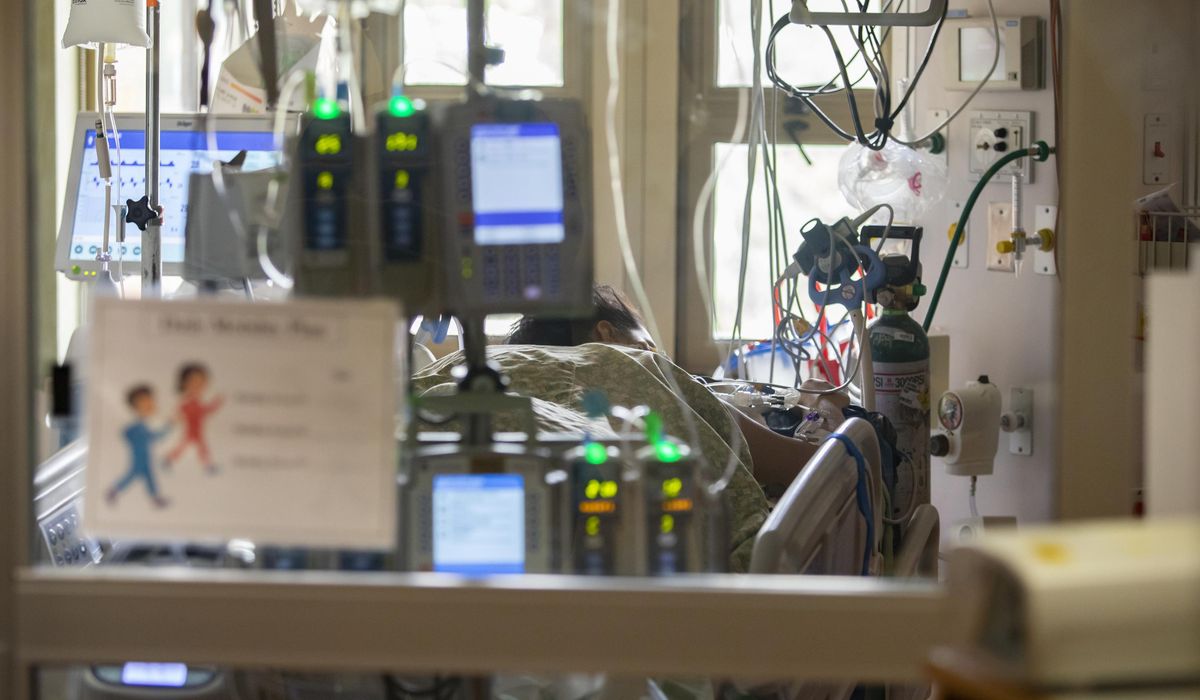 NextImg:U.S. pregnancy deaths dropped in 2022, after COVID spike