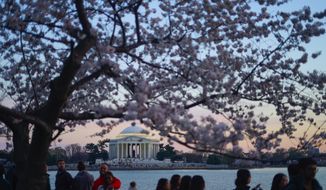 People walk along the Tidal Basin during sunset as cherry blossoms enter their peak bloom this week, Wednesday, March 22, 2023, in Washington. (AP Photo/Pablo Martinez Monsivais