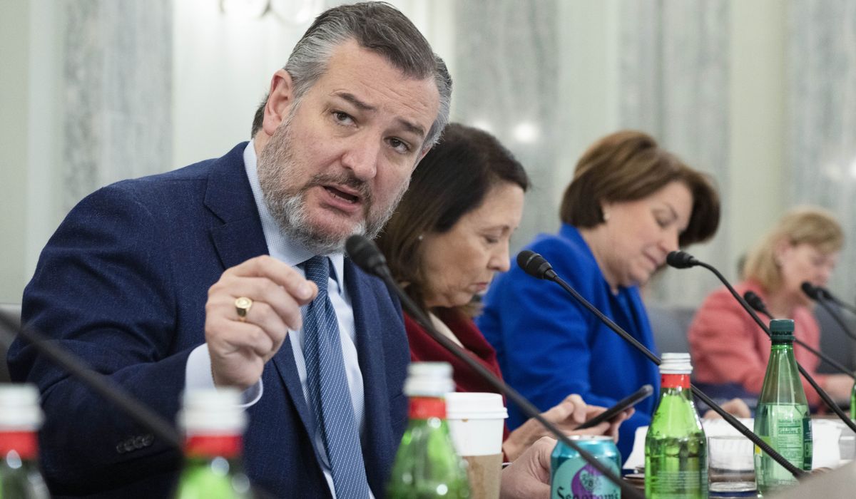 NextImg:Ted Cruz: Democrats see Mayorkas as scapegoat, will be gone within 6 months