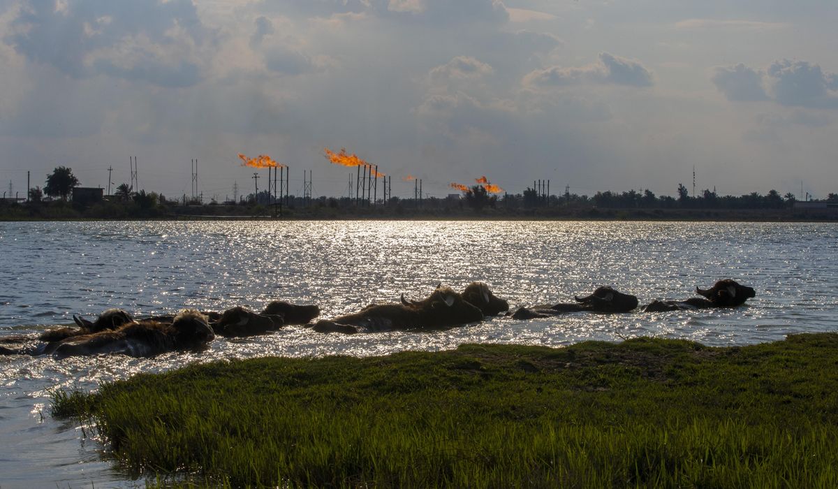 NextImg:Corruption, deep disparity mark Iraq’s oil legacy post-2003