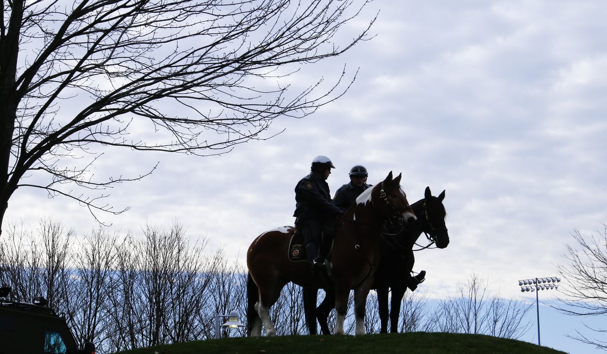 NextImg:Woman arrested for hitting Pennsylvania police horse