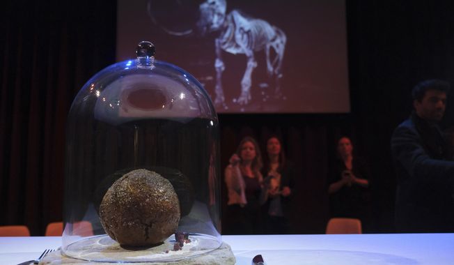 A meatball made using genetic code from the mammoth is seen at the Nemo science museum in Amsterdam, Tuesday March 28, 2023. An Australian company has lifted the glass cloche on a meatball made of lab-grown cultured meat using the genetic sequence from the long-extinct mastodon. The high-tech treat isn&#x27;t available to eat yet - the startup says it is meant to fire up public debate about cultivated meat. (AP Photo/Mike Corder)