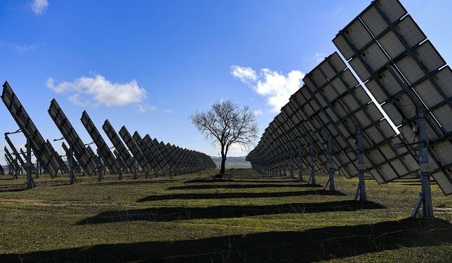 A tree is surrounded by solar panels in Los Arcos, Navarra Province, northern Spain, on Feb. 24, 2023. Renewable energy investors who lost subsidies promised by Spain are heading to a London court to try to claw back $125 million from the government — a decadelong dispute with ramifications for clean energy financing across the European Union. (AP Photo/Alvaro Barrientos, File)