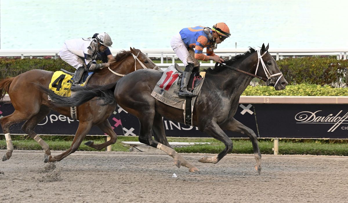 NextImg:Horse gambling beats long odds; passes South Carolina House