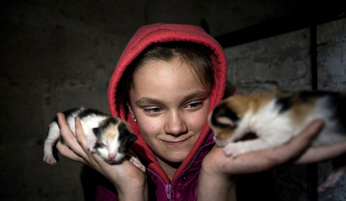 NextImg:In Ukrainian village, a family lives under cloud of shelling
