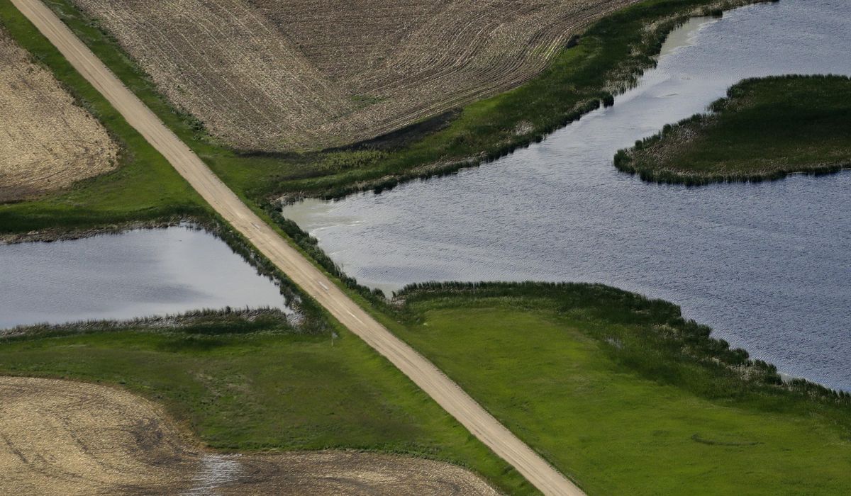 NextImg:Biden forced to scale back federal jurisdiction over waterways following Supreme Court ruling