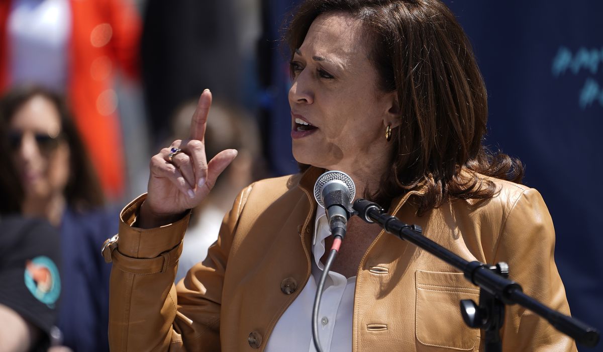 NextImg:Kamala Harris joins L.A. Women’s March, decries ‘extremist’ moves to ban abortion pill