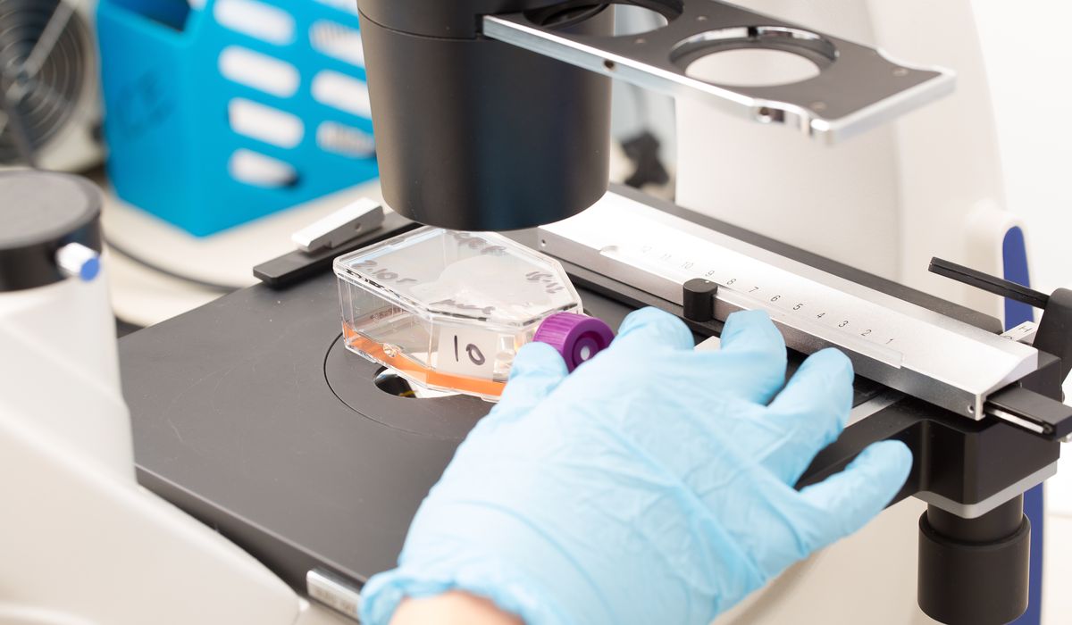NextImg:Major breakthrough could enable cancer detection 7 years sooner