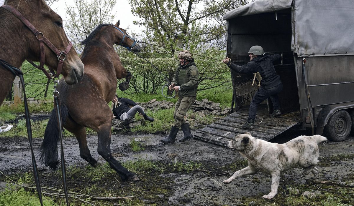 NextImg:China, Ukraine leaders speak for first time since war began