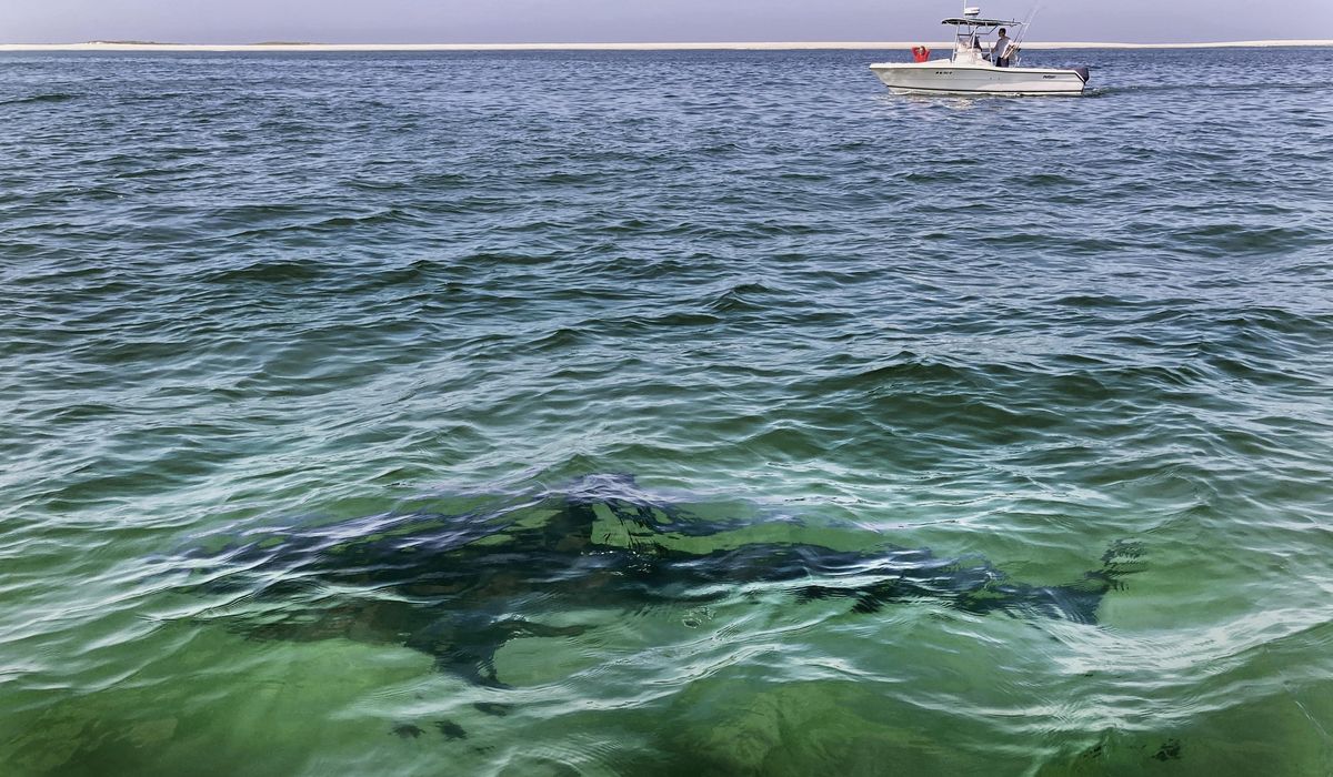 NextImg:EPA: Machine gun range could harm Cape Cod drinking water