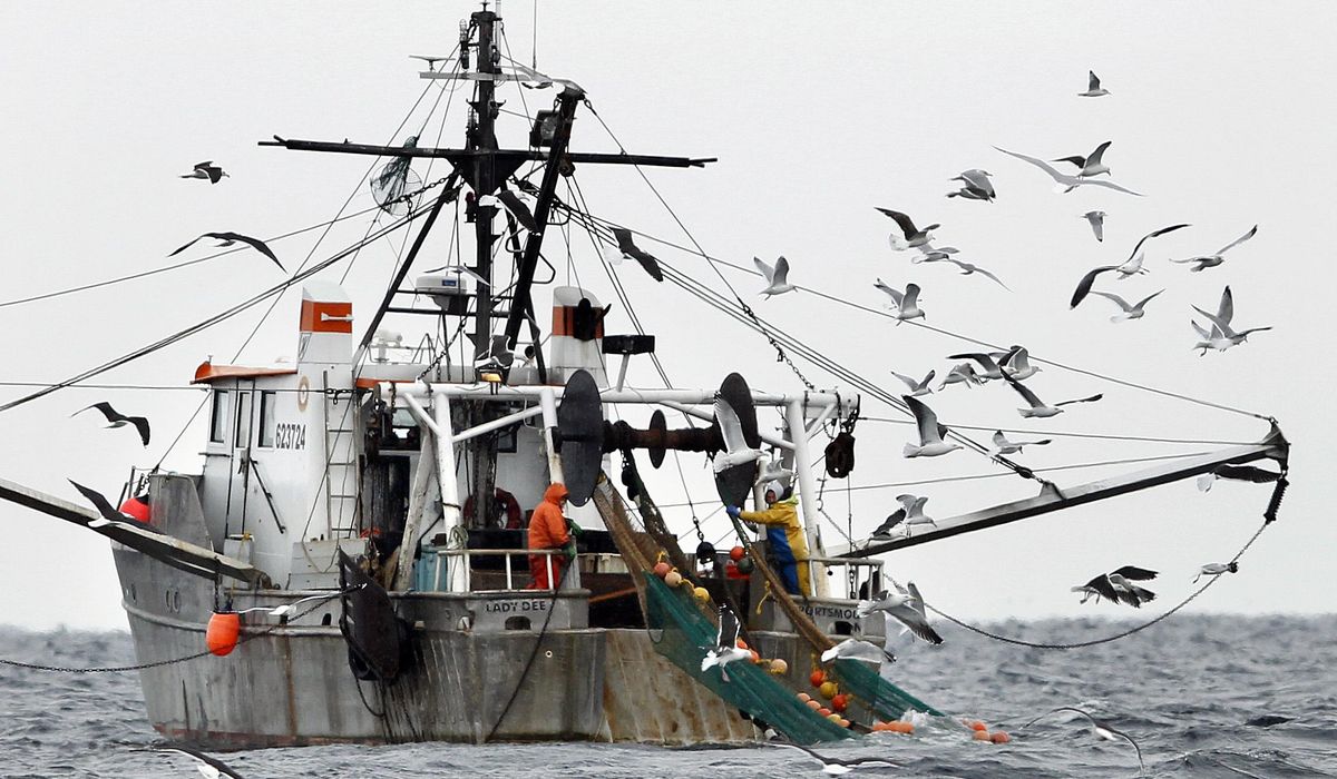 NextImg:Congress backs fishermen over feds in Supreme Court battle, tells justices to curb bureaucracy