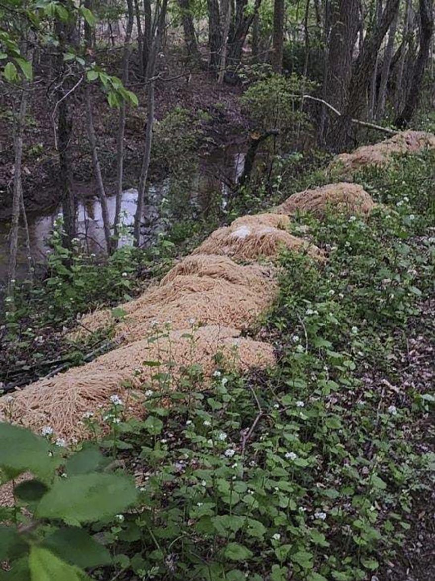 This photo provided by Nina Jochnowitz shows hundreds of pounds of pasta that was dumped near a stream in Old Bridge, N.J., on Friday, April 28, 2023. Old Bridge Mayor Owen Henry said Friday, May 5, that the spaghetti, noodles and macaroni was cleaned up last week by public works crews, shortly after officials learned about the oodles of noodles that quickly drew national attention when photos of the pasta were posted on social media. (Nina Jochnowitz via AP)