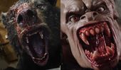 bear-rawhead-rex-900.jpg