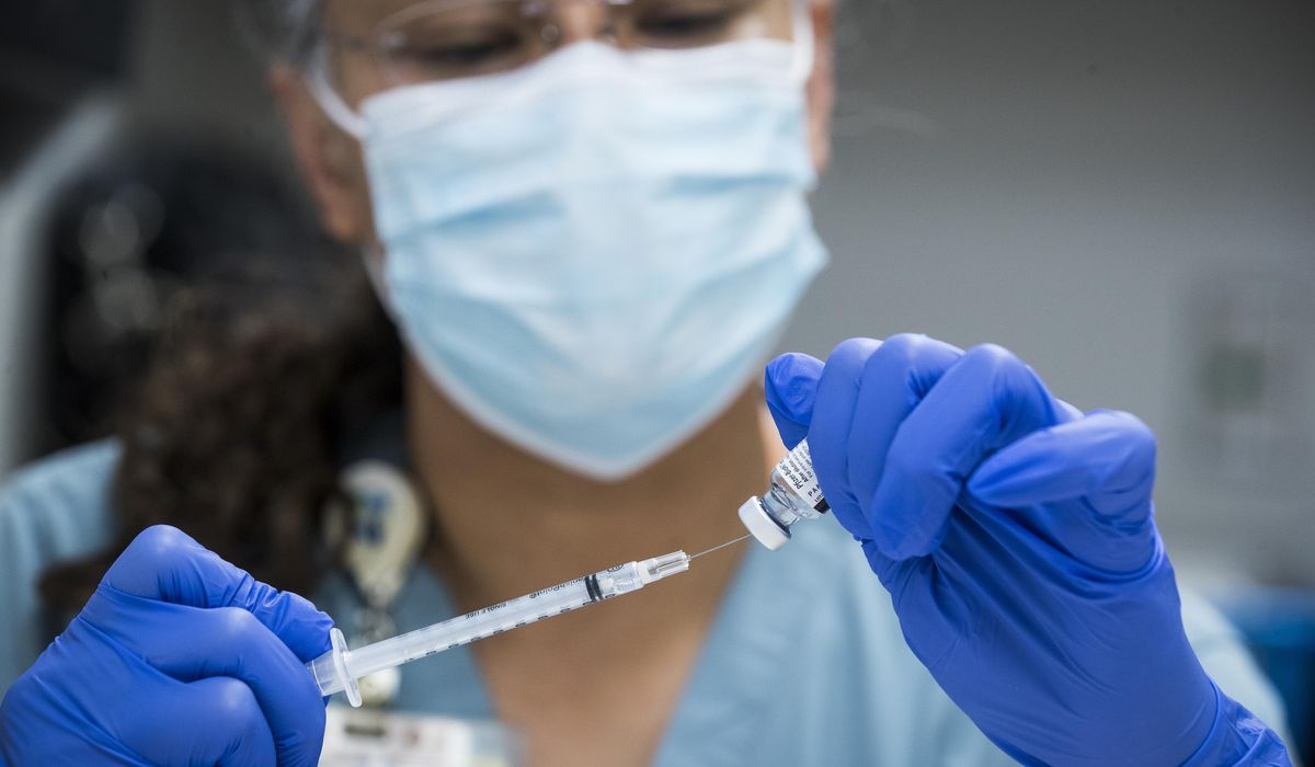 NextImg:Agency gets back to work — on bat coronaviruses with Chinese scientists