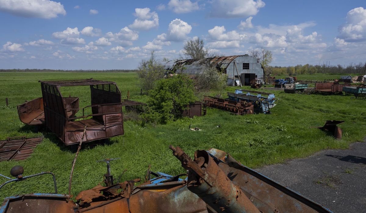 NextImg:Brutal harvest: Russian invasion devastates Ukrainian farmers
