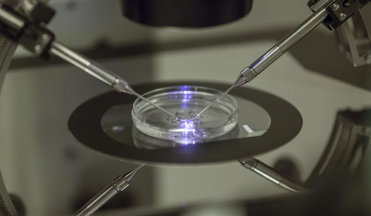NextImg:Alabama Supreme Court rules embryos are children under Wrongful Death of a Minor Act
