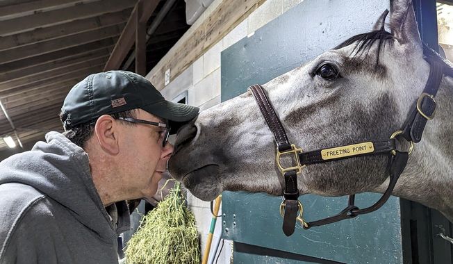 In this photo provided by Josef Lejzerowicz, trainer Joe Lejzerowicz rubs noses with colt Freezing Point, aka “Snowball,” at their barn at Keeneland in Lexington, Ky., March 19, 2023. Freezing Point was euthanized after sustaining a leg injury during a race on the undercard of the Kentucky Derby, May 6, 2023. He was one of two horses to die from injury that day and among 12 over the past month at the home of the Derby. (Laura Lejzerowicz via AP)