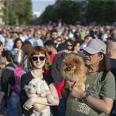 Two people carry their dogs as they attend a protest in Belgrade, Serbia, Saturday, June 3, 2023. Tens of thousands of people rallied in Serbia&#x27;s capital on Saturday in protest of the government&#x27;s handling of a crisis after two mass shootings in the Balkan country. (AP Photo/Marko Drobnjakovic)