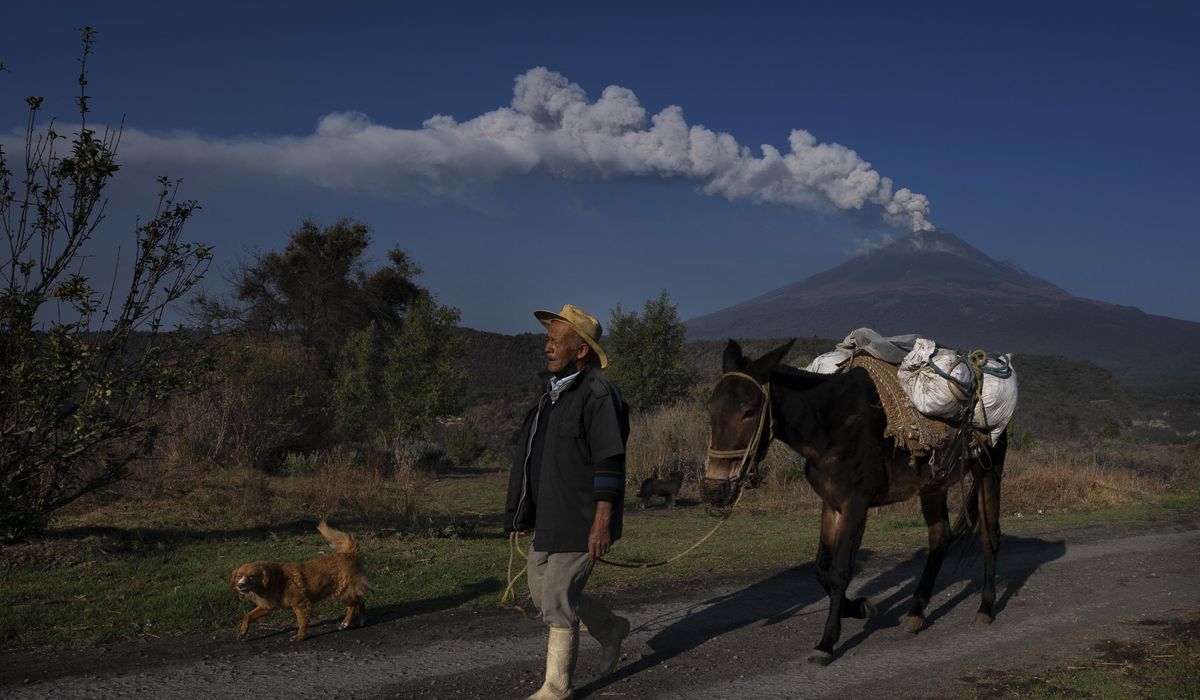 NextImg:Mexico lowers alert level for Popocatepetl volcano