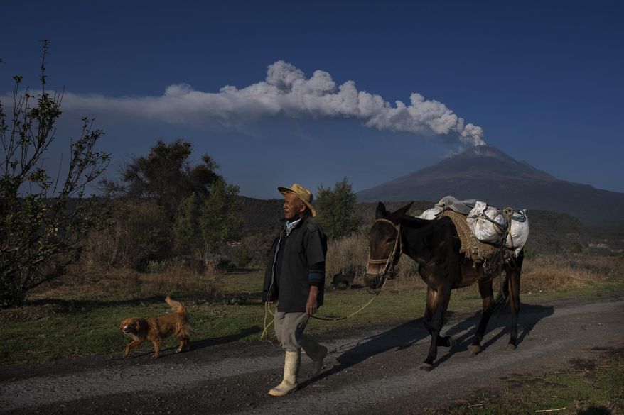 Jose Marcos de Olarte walks his mule to plant corn on his land near the Popocatepetl volcano, in Santiago Xalitzintla, Mexico, May 25, 2023. Mexico lowered the alert level on the Popocatepetl volcano Tuesday, June 6, 2023, after more than two weeks of its eruptions of gas and ash. (AP Photo/Marco Ugarte, File)