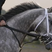 Tapit Trice trains ahead of the Belmont Stakes horse race, Wednesday, June 7, 2023, at Belmont Park in Elmont, N.Y. (AP Photo/John Minchillo)