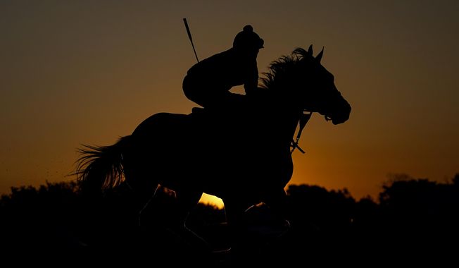 Black-Eyed Susan entrant Merlazza gallops during a workout ahead of the 148th running of the Preakness Stakes horse race at Pimlico Race Course, Thursday, May 18, 2023, in Baltimore. The Black-Eyed Susan Stakes horse race is slated to run on Friday. (AP Photo/Julio Cortez)
