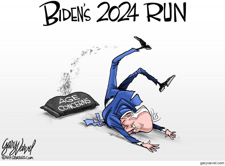 Political Cartoons Campaigns and Elections Biden's 2024 Run