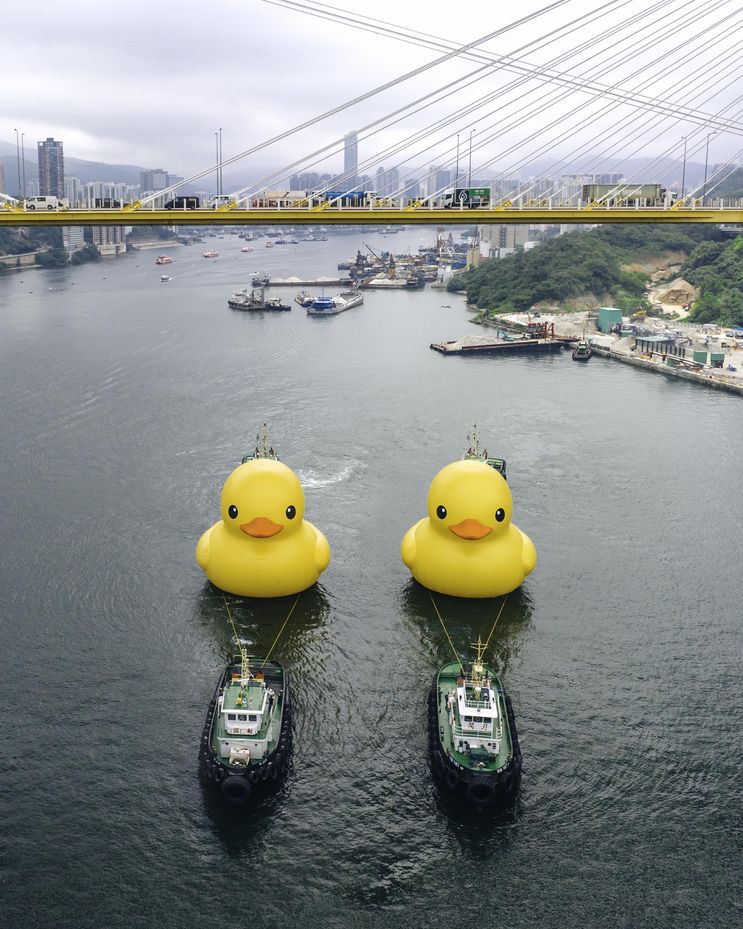 Sanatçının dünyayı dolaşan yerleştirmesinin bir parçası olarak Hong Kong'da yüzen dev lastik ördek sönüyor