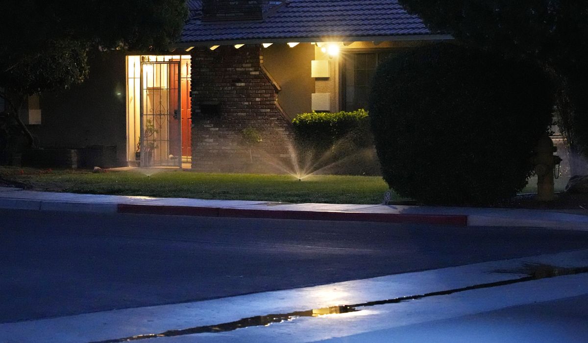 NextImg:Vegas water agency empowered to limit home water flows in future