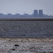 The Zaporizhzhia nuclear power plant, Europe&#x27;s largest, is seen in the background of the shallow Kakhovka Reservoir after the dam collapse, in Energodar, Russian-occupied Ukraine, Friday, June 9, 2023. The plant has been under Russian occupation since 2022. (AP Photo/Kateryna Klochko)
