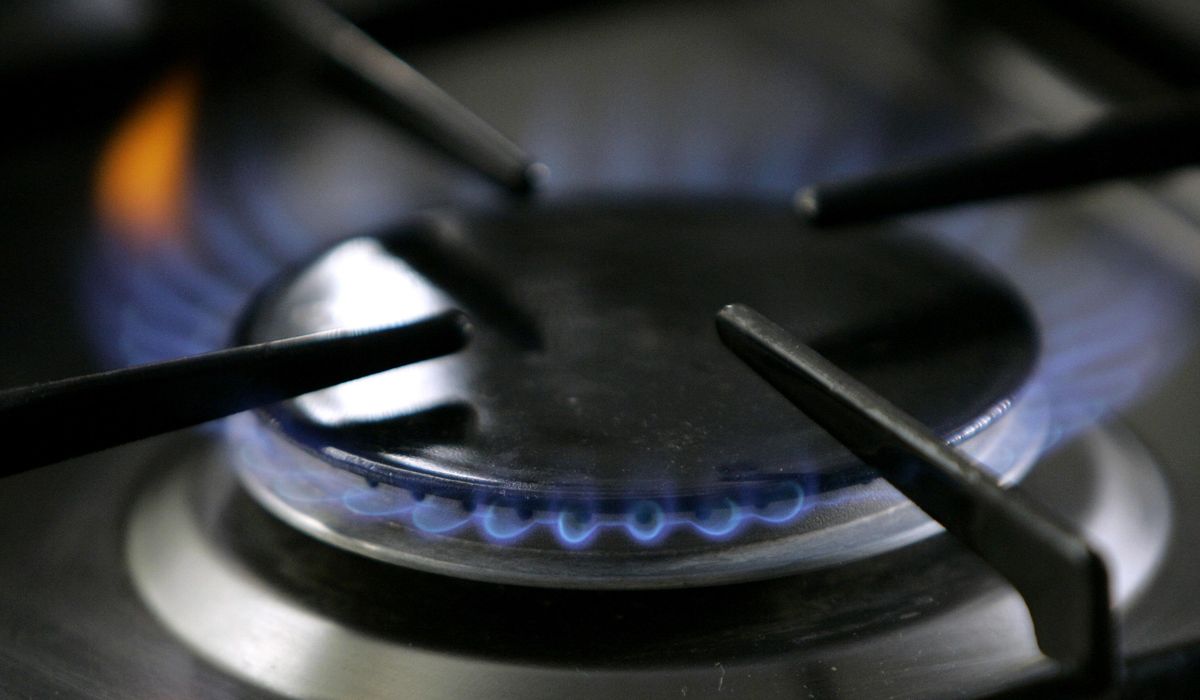 NextImg:Biden energy official tells GOP lawmakers don’t worry about gas stoves: No authority to ban