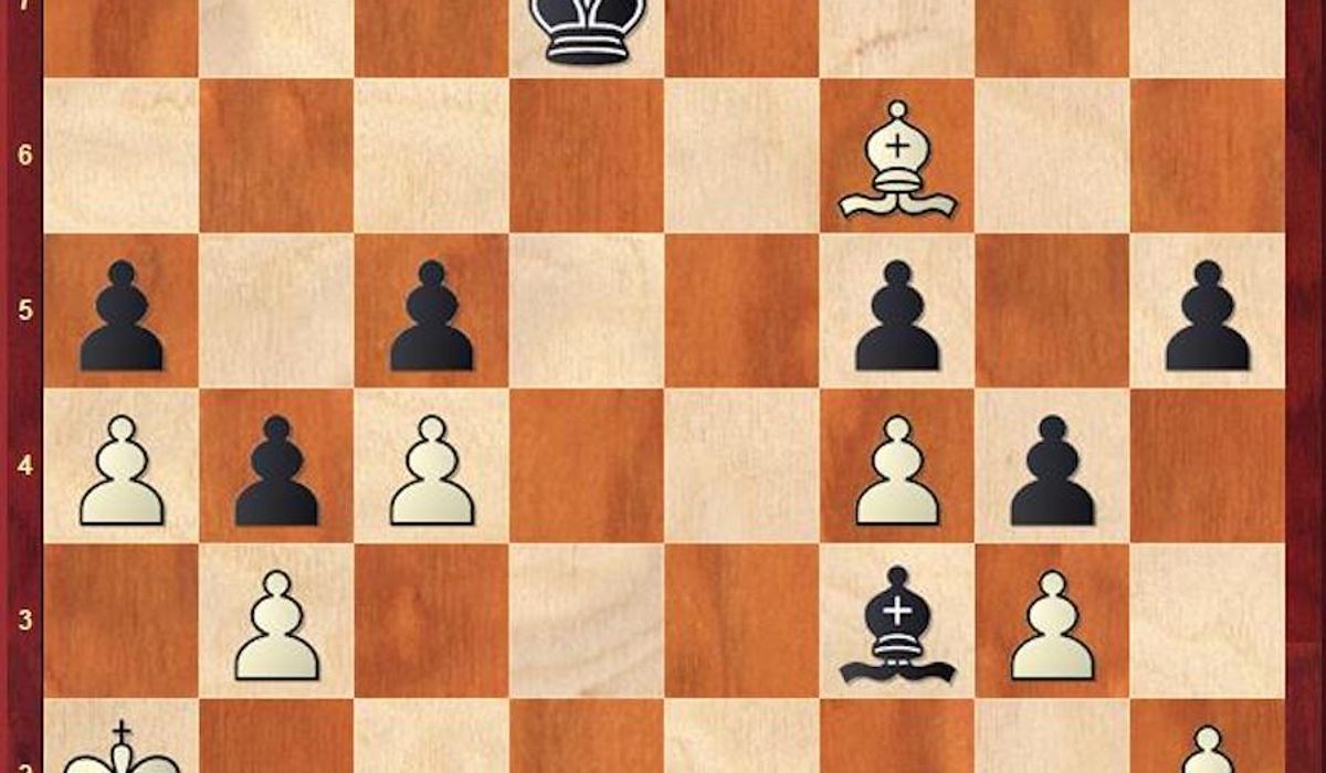 NextImg:The last shall be first: Zatonskih scores surprise win in women’s chess tilt