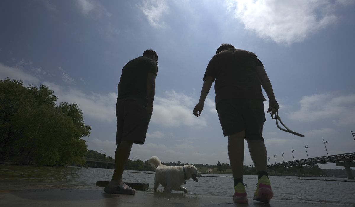 NextImg:Texas power grid asks customers to cut electricity use as heat wave scorches southern U.S.