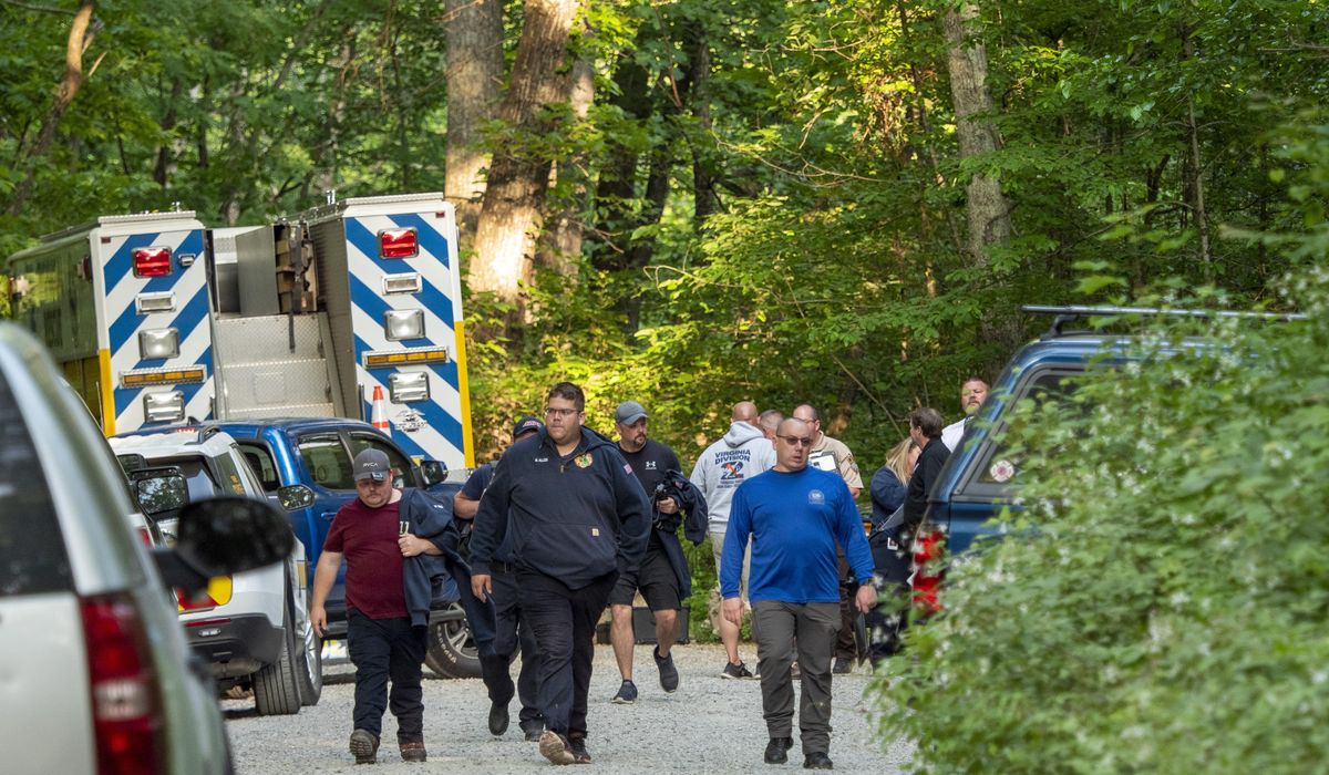 NextImg:Plane that flew over Washington, D.C. crashed almost straight down at high speed, report says