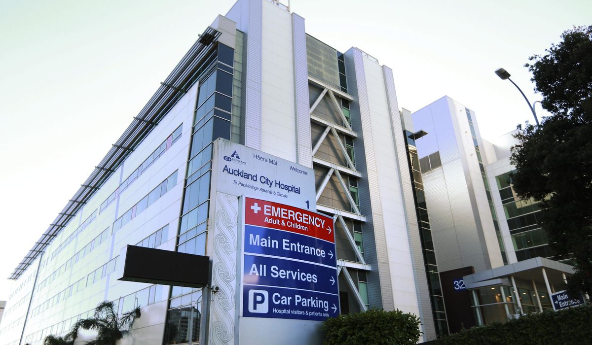 NextImg:New Zealand debates whether ethnicity should be a factor for surgery waitlists