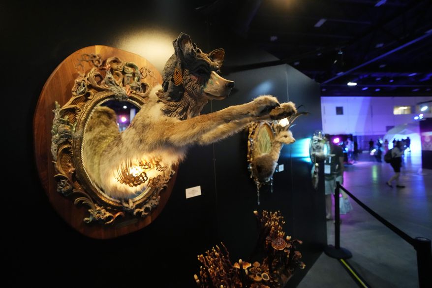 Artwork on display is seen at the Psychedelic Science conference in the Colorado Convention Center Wednesday, June 21, 2023, in Denver. (AP Photo/David Zalubowski)