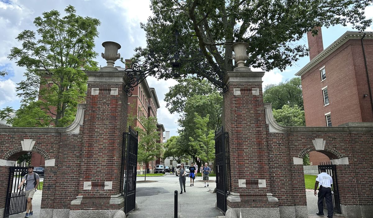 NextImg:Trust in higher education dives, poll shows