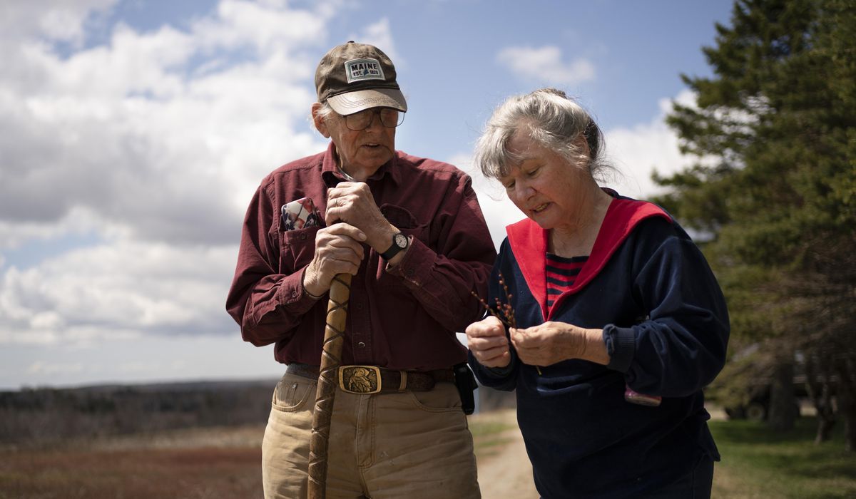 NextImg:They envision the world’s tallest flagpole in this Maine town. Instead of uniting, it is dividing