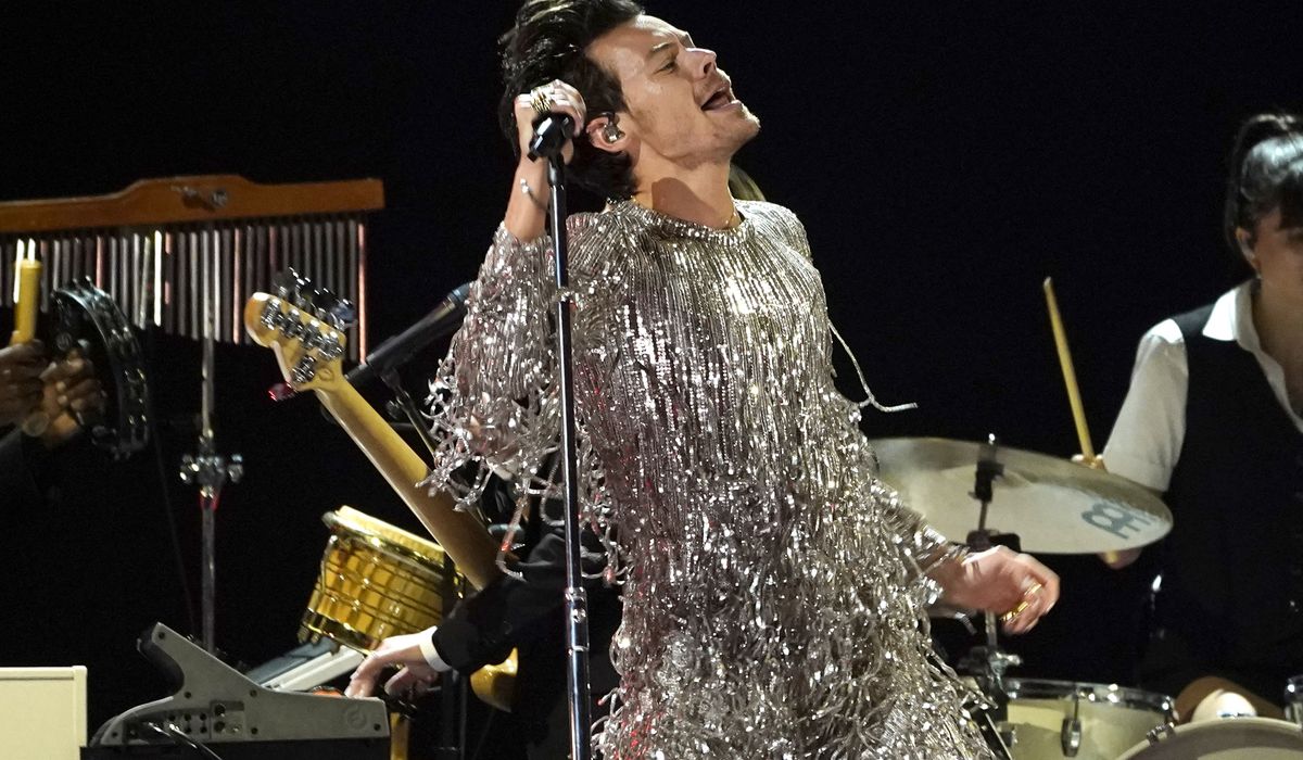NextImg:Harry Styles hit by thrown object during Vienna concert