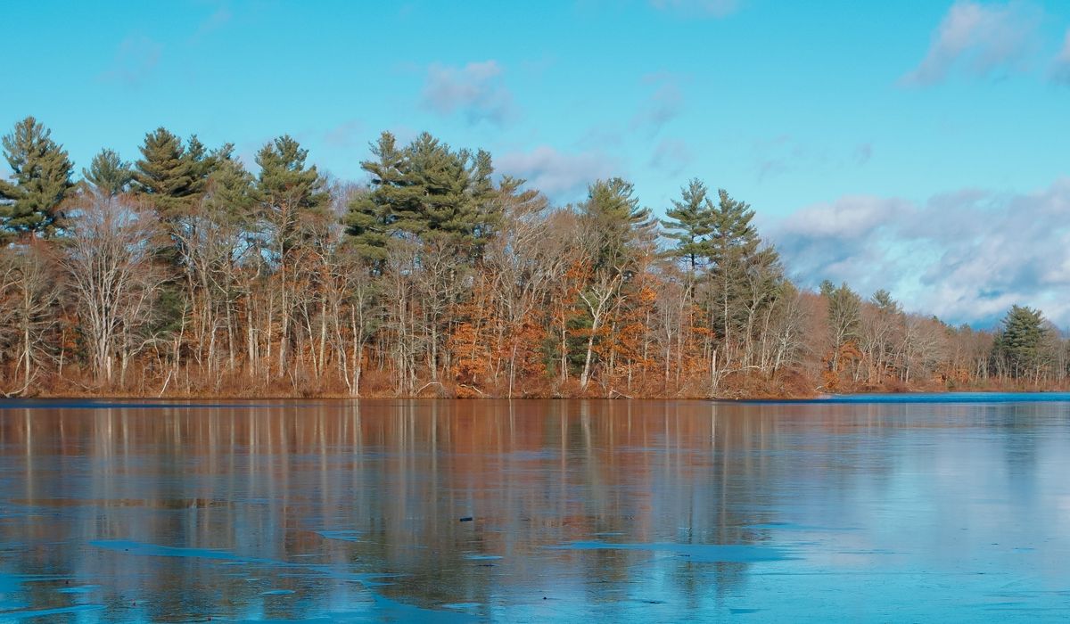 NextImg:Missing Massachusetts woman found alive trapped in state park’s mud