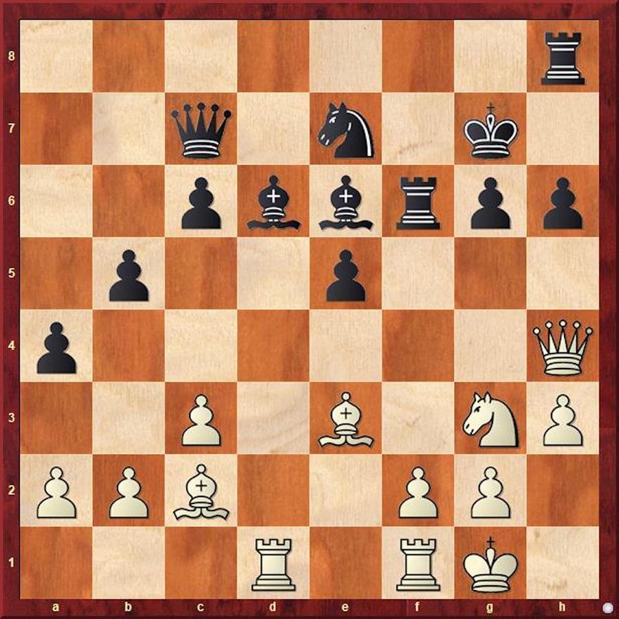 Kupchik-Sournin after 28...Rh8.