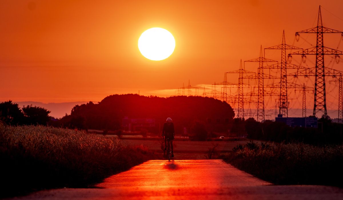 NextImg:EU faces cliffhanger vote on major bill protecting nature and fighting climate change