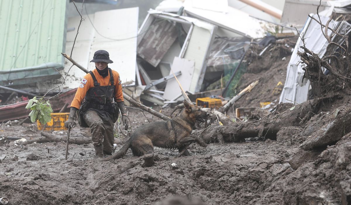 NextImg:Deadly flooding hit several countries at once. Scientists say this will only be more common