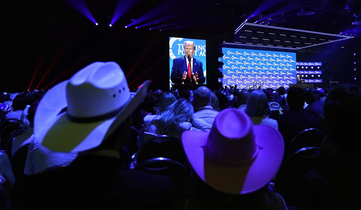 NextImg:Turning Point Action’s student activists were torn between Trump and DeSantis last year. Not anymore