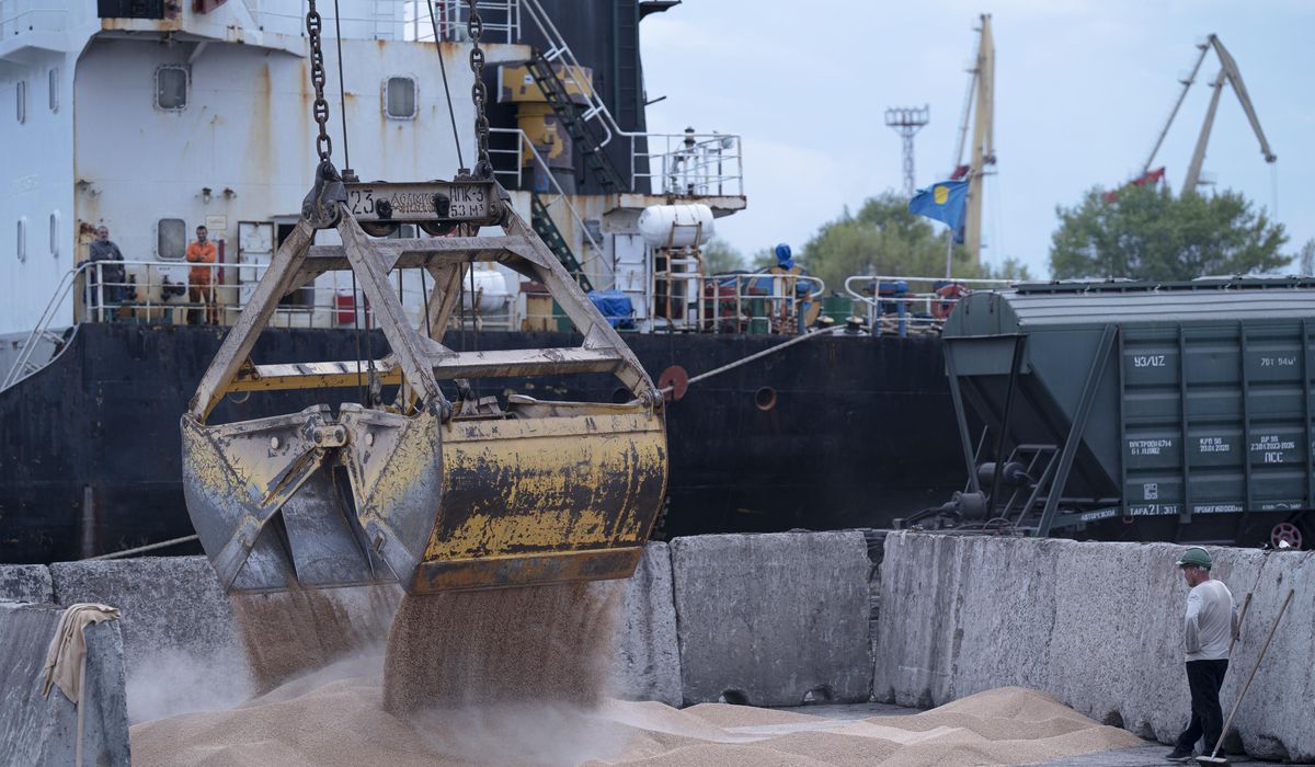 NextImg:Russia halts wartime deal that allows Ukraine to ship grain in a hit to global food security
