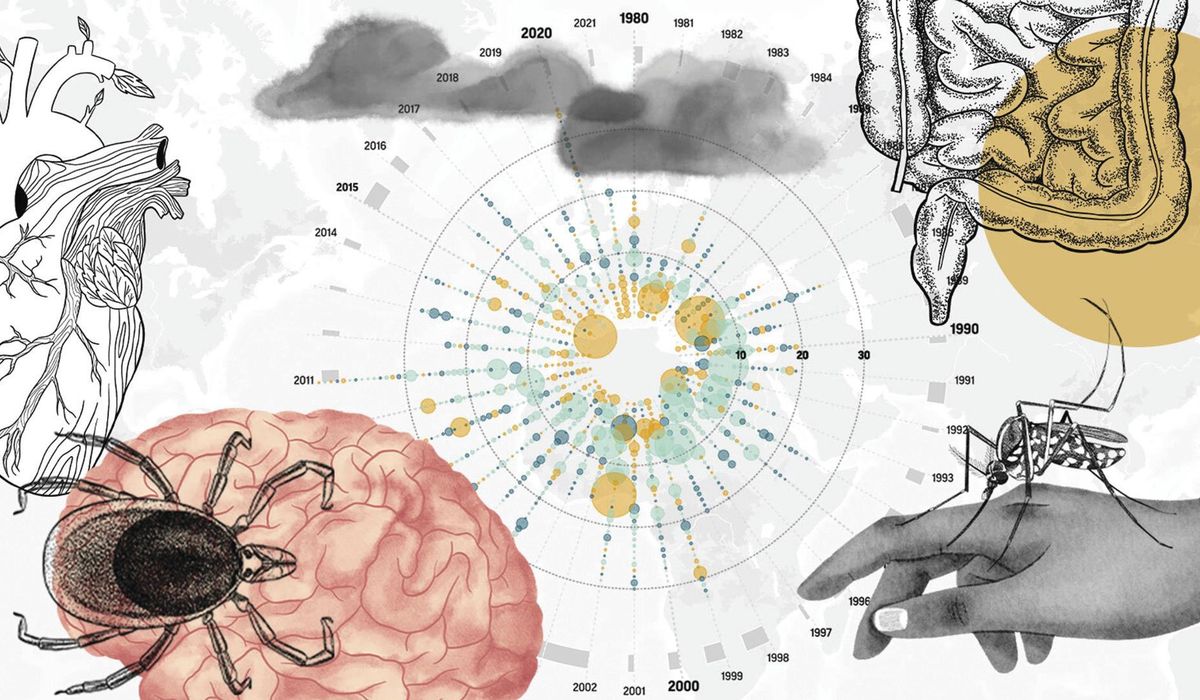 NextImg:As the planet warms, scientists worry that cases of infectious diseases could spike
